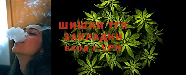 винт Новозыбков