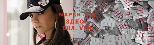 стафф Новокубанск