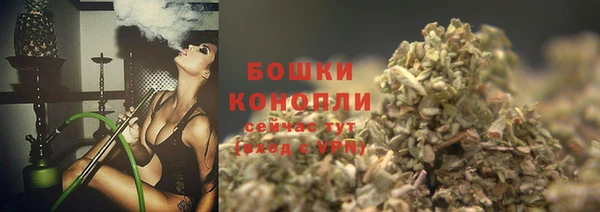 винт Новозыбков