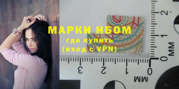 стафф Новокубанск