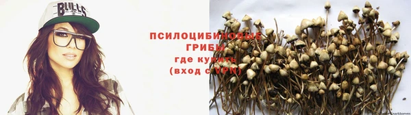 герыч Новодвинск