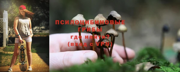 стафф Новокубанск