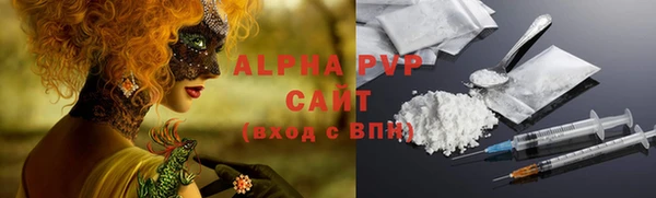 стафф Новокубанск