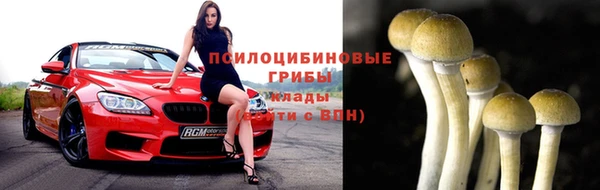 герыч Новодвинск