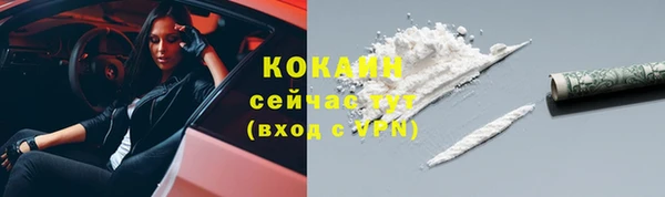 винт Новозыбков