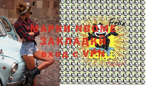 стафф Новокубанск