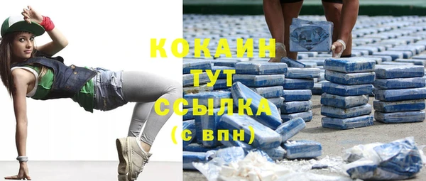 винт Новозыбков