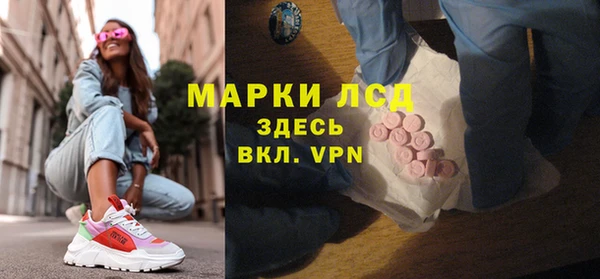 стафф Новокубанск