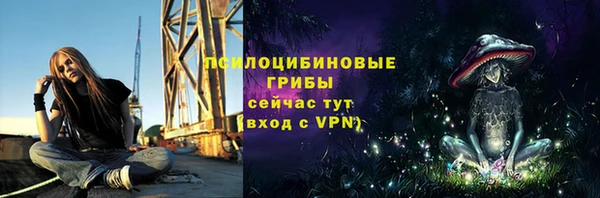герыч Новодвинск